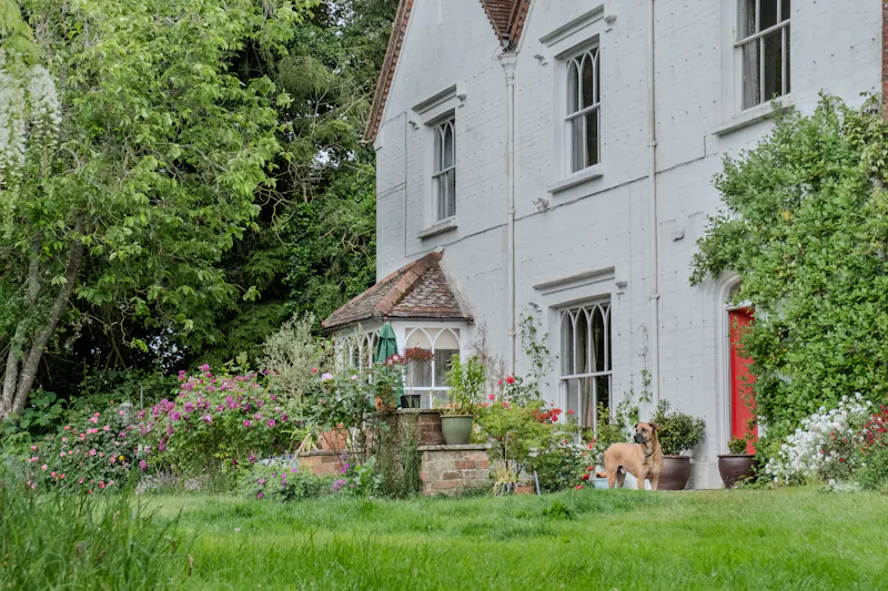 Magical South Downs farmhouse, E554 (photo 90)