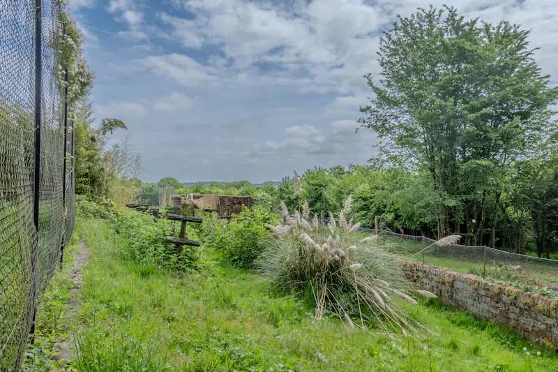 Magical South Downs farmhouse, E554 (photo 141)