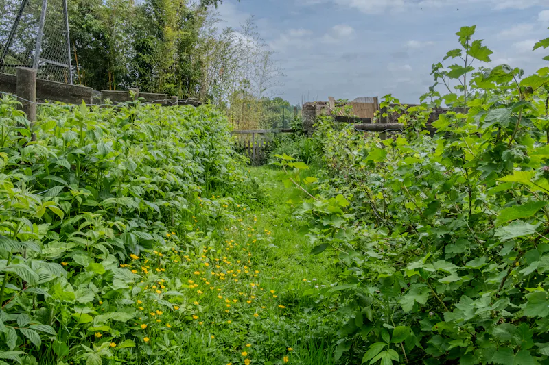Magical South Downs farmhouse, E554 (photo 152)