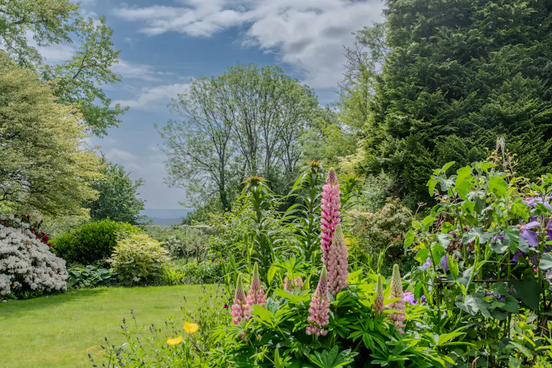 Magical South Downs farmhouse, E554 (photo 101)