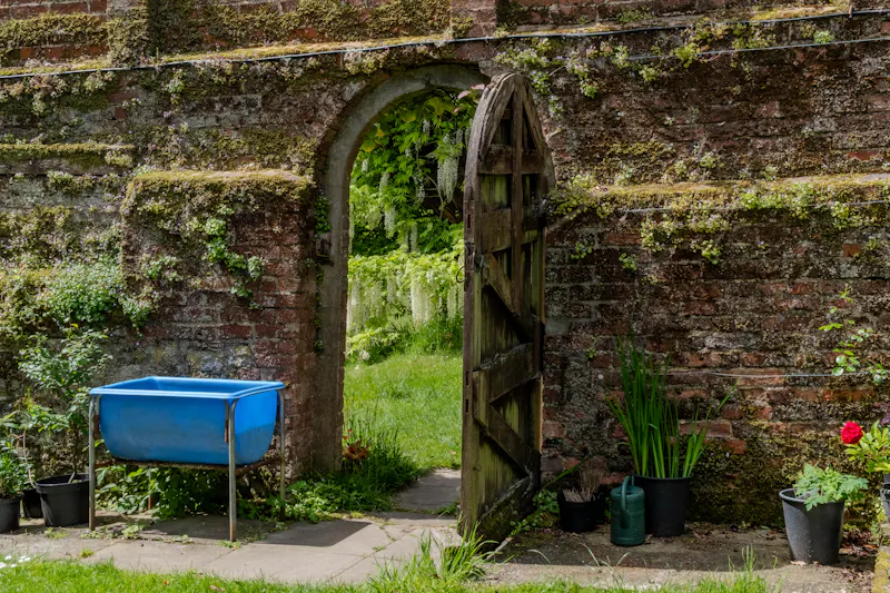 Walled garden at Magical South Downs farmhouse, E554 (photo 128)