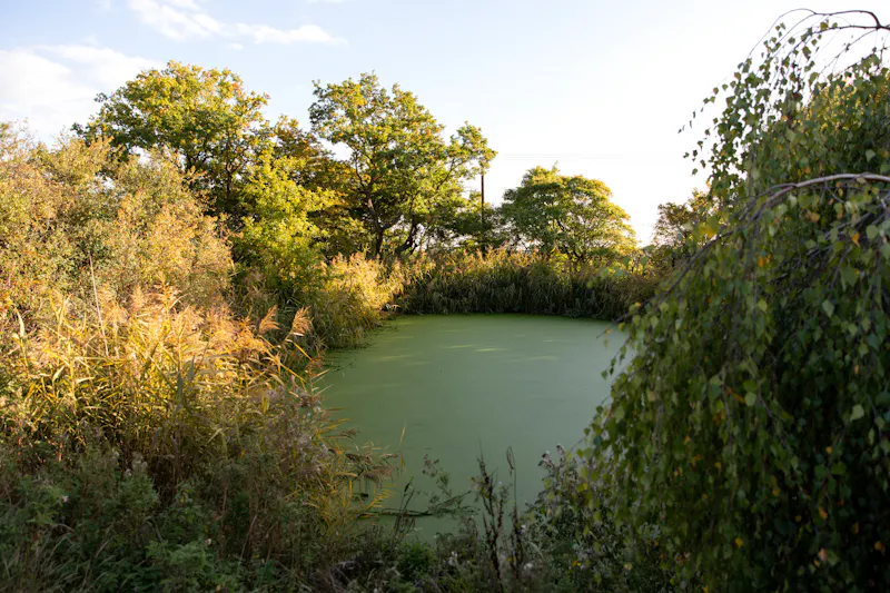 Lake at Luxe Broxbourne Mansion, D2844 (photo 63)