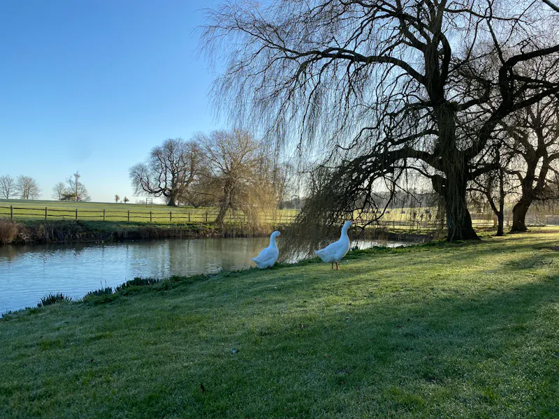 South Downs Country Estate, H6 (photo 50)