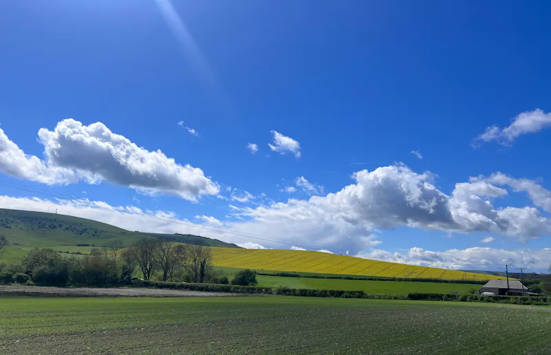 South Downs Country Estate, H6 (photo 64)