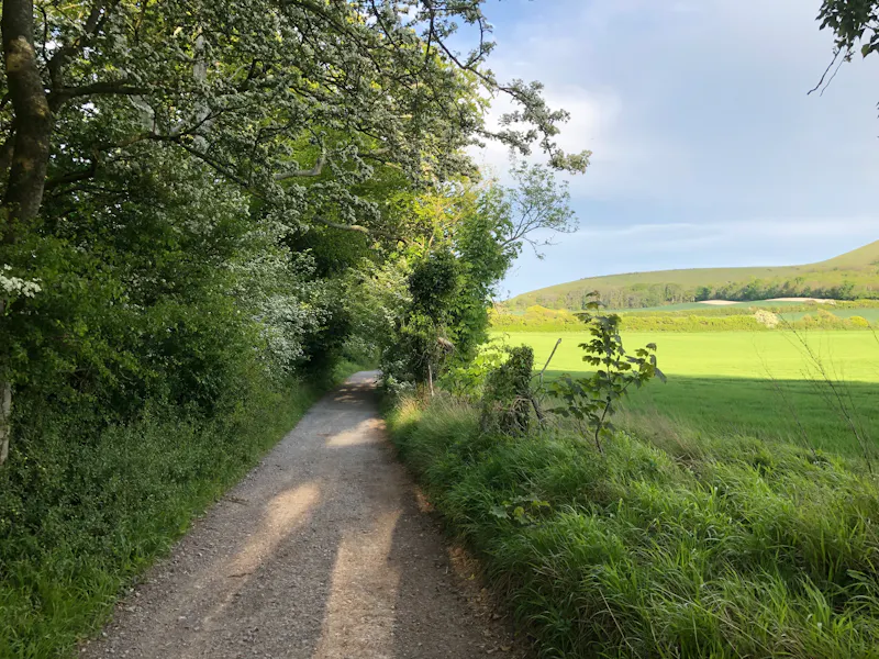 South Downs Country Estate, H6 (photo 79)