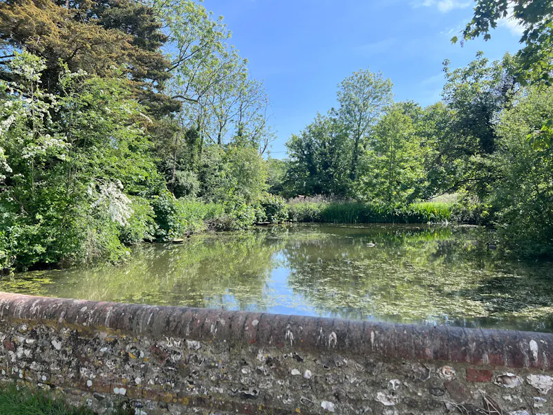 Pond at South Downs Country Estate, H6 (photo 97)
