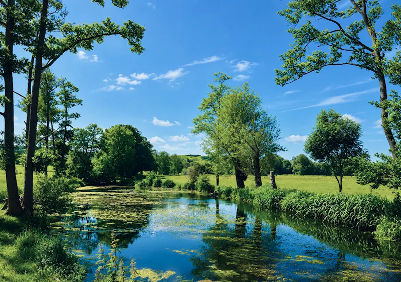 Pond at South Downs Country Estate, H6 (photo 49)