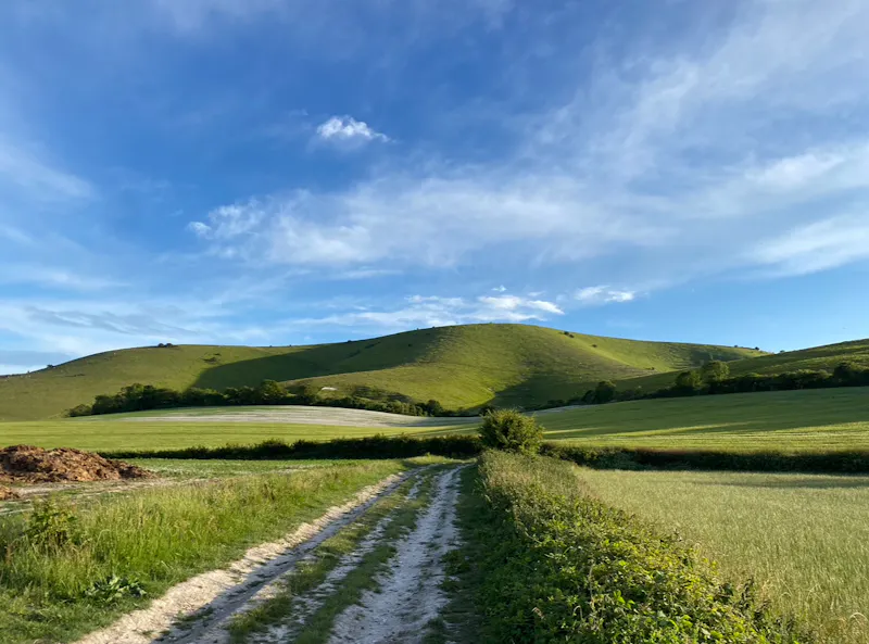 South Downs Country Estate, H6 (photo 63)