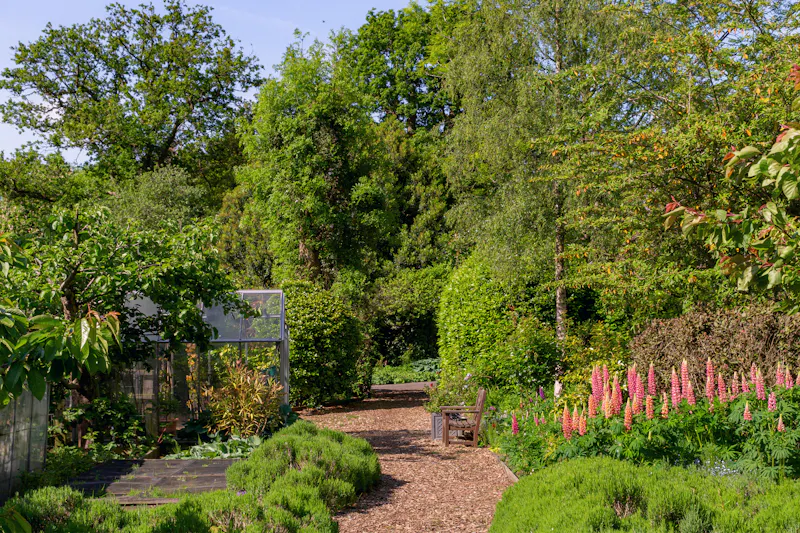 Greenhouse at Impressive Mill Hill Estate, D1251 (photo 24)