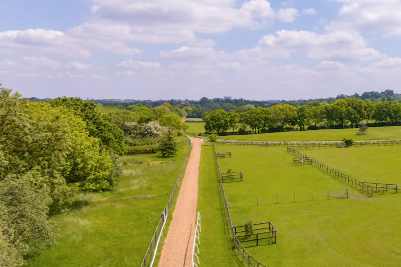 Impressive Mill Hill Estate, D1251 (photo 31)