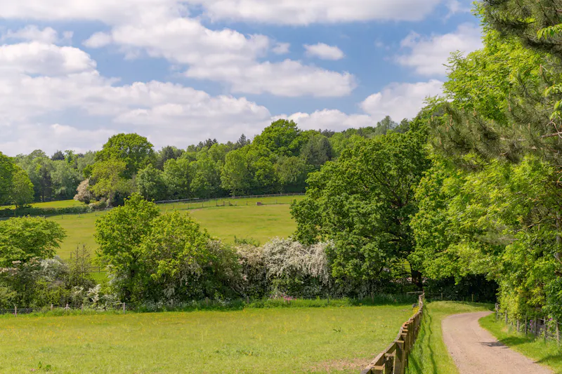 Impressive Mill Hill Estate, D1251 (photo 33)