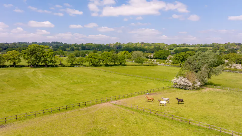 Impressive Mill Hill Estate, D1251 (photo 30)