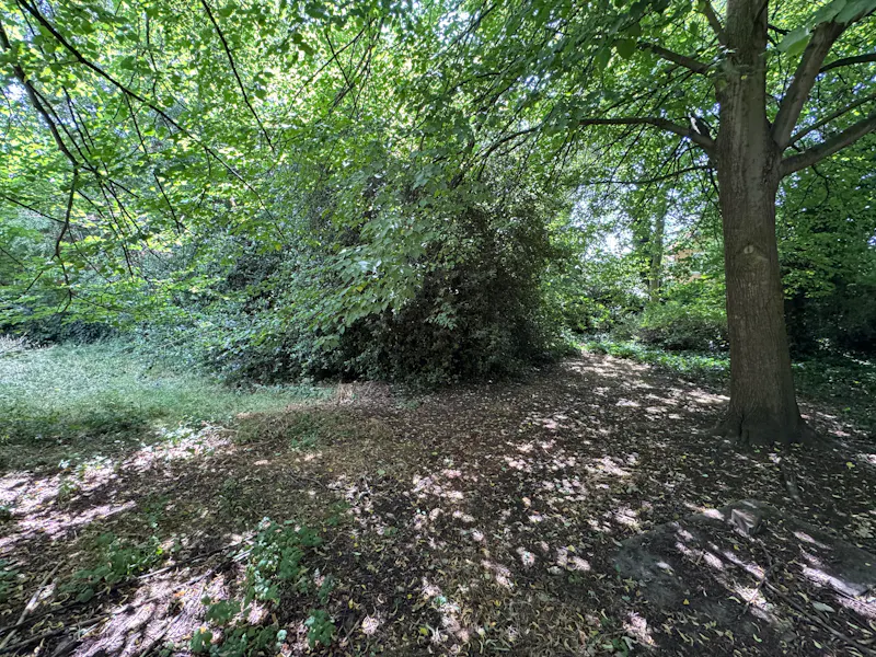 Derelict House & Cottage, B2147 (photo 94)