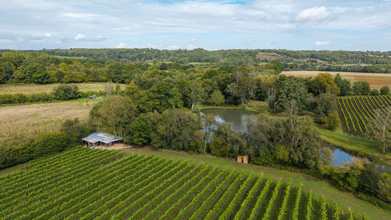 Views - country at Tunbridge Wells Vineyard, V171 (photo 12)