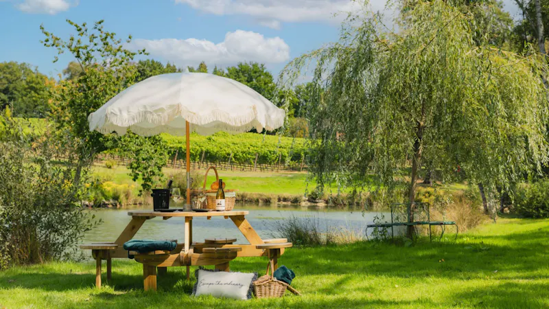 Tunbridge Wells Vineyard, V171 (photo 7)