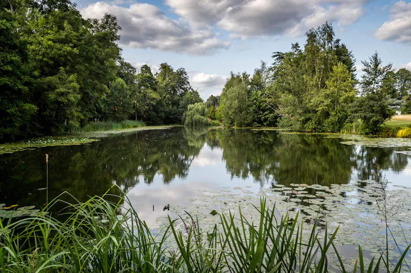 Lake at Elegant Surrey Modern Mansion, D2888 (photo 119)