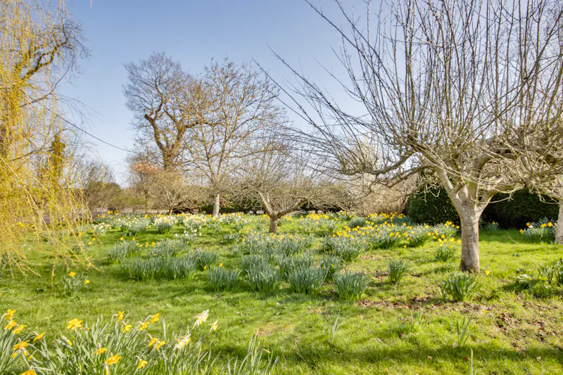 Charming 17th-century Farmhouse, L781 (photo 73)
