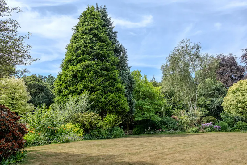 Magical South Downs farmhouse, E554 (photo 103)