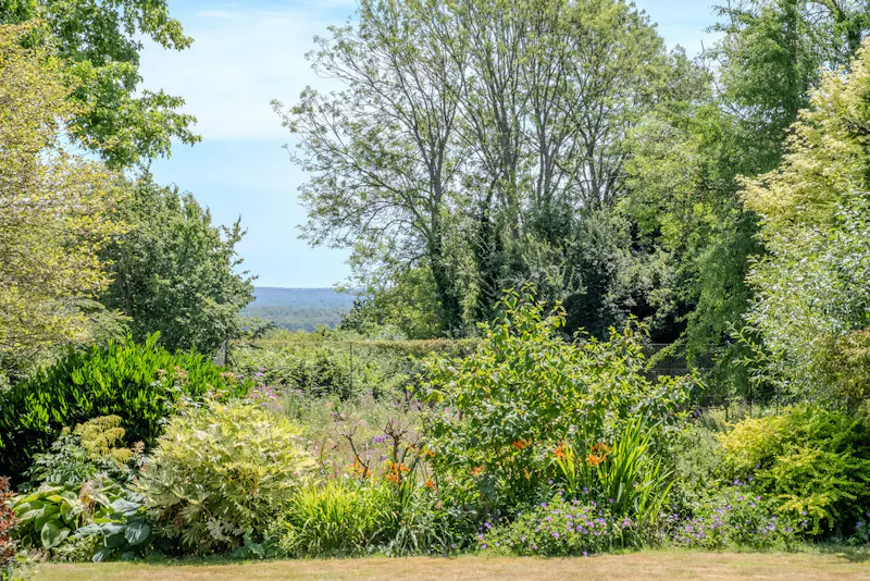 Magical South Downs farmhouse, E554 (photo 106)