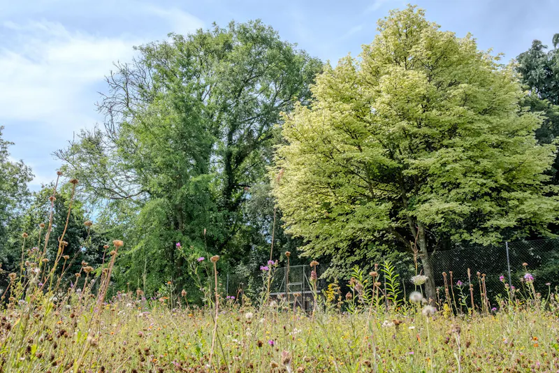 Magical South Downs farmhouse, E554 (photo 147)