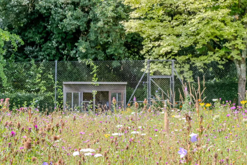 Magical South Downs farmhouse, E554 (photo 144)