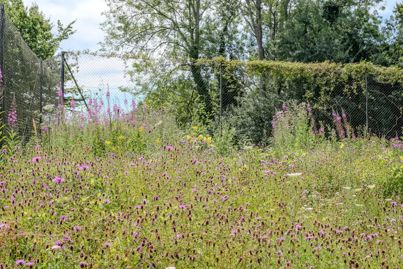 Magical South Downs farmhouse, E554 (photo 146)