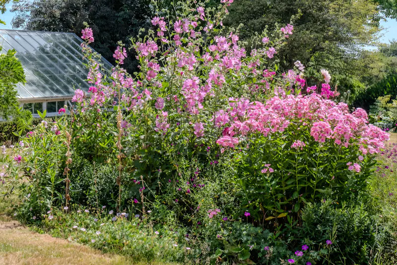 Magical South Downs farmhouse, E554 (photo 112)