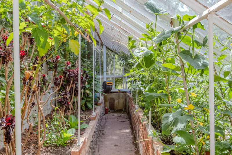 Magical South Downs farmhouse, E554 (photo 122)
