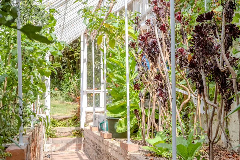 Magical South Downs farmhouse, E554 (photo 121)