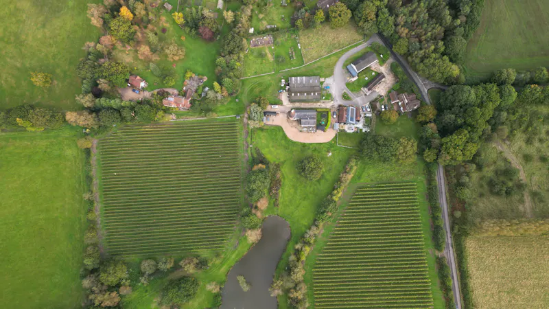 Tunbridge Wells Vineyard, V171 (photo 14)