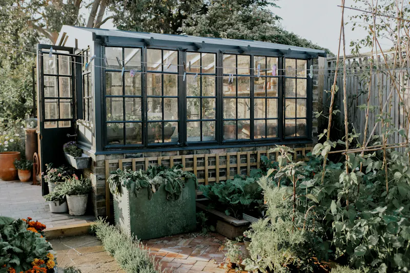 Greenhouse at American Style Bohemian House, D2892 (photo 61)
