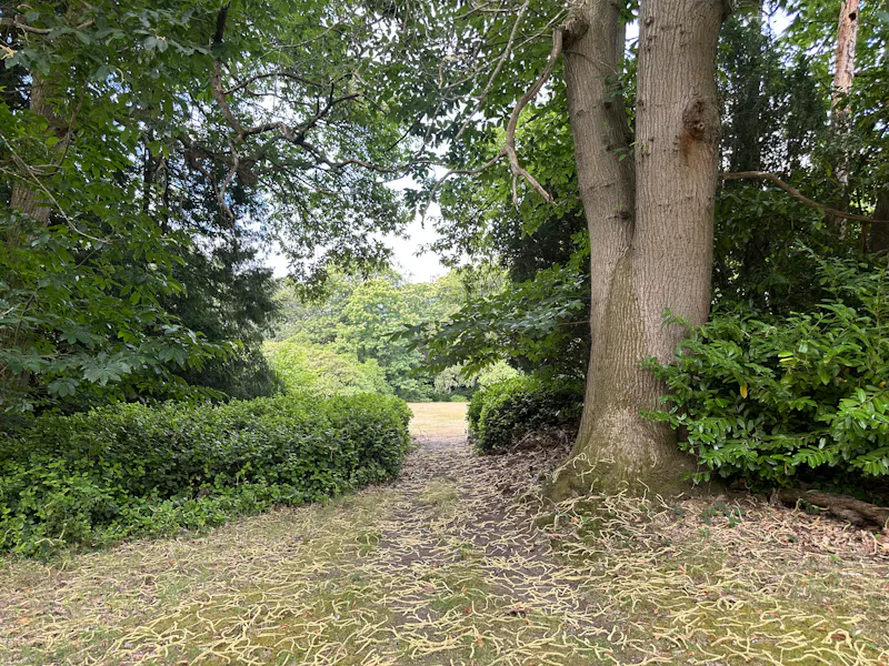 Untouched Period Surrey Estate, B2152 (photo 81)