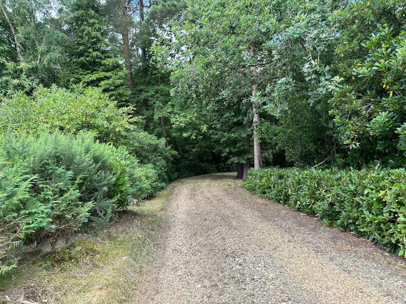 Untouched Period Surrey Estate, B2152 (photo 83)