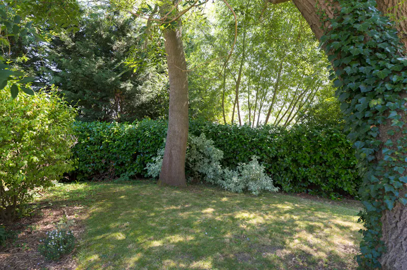 Great Horwood Suburban House, D2898 (photo 35)
