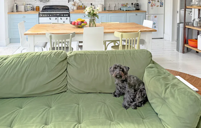 East Dulwich Family Home, D2899 (photo 11)