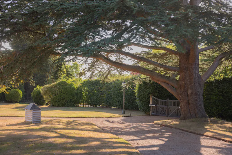 Gate at Halland Georgian Country House, A1716 (photo 83)