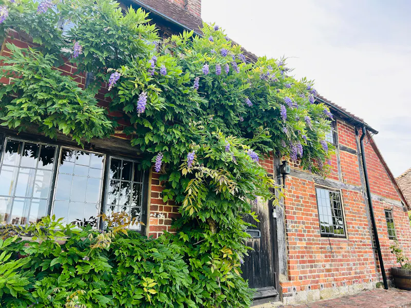 Whimsical Liphook Tudor Cottage, C962 (photo 44)