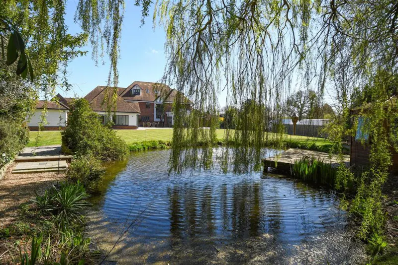 Pond at Stoney Hills Modern Mansion, D2904 (photo 24)