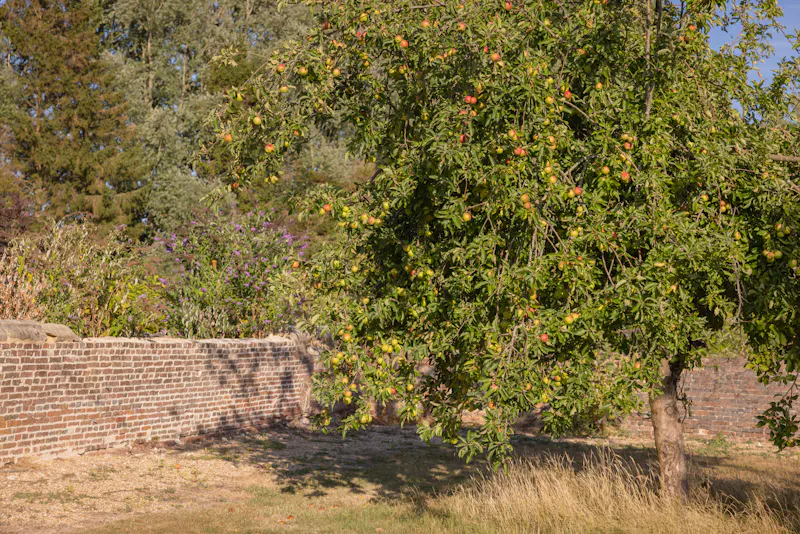 Halland Georgian Country House, A1716 (photo 95)