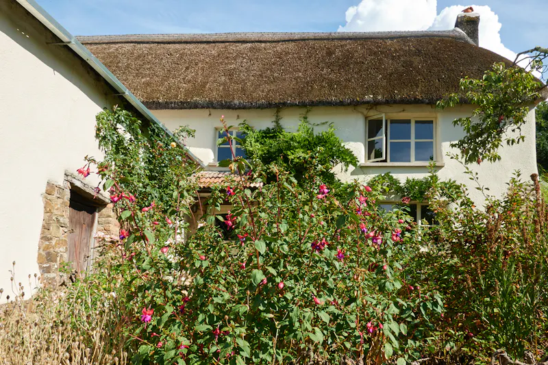 Devon Thatched Small Holding, C964 (photo 100)