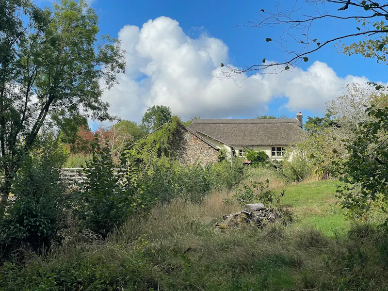Devon Thatched Small Holding, C964 (photo 96)