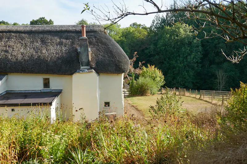 Devon Thatched Small Holding, C964 (photo 31)