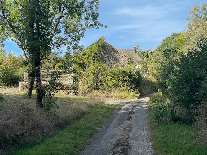 Devon Thatched Small Holding, C964 (photo 87)