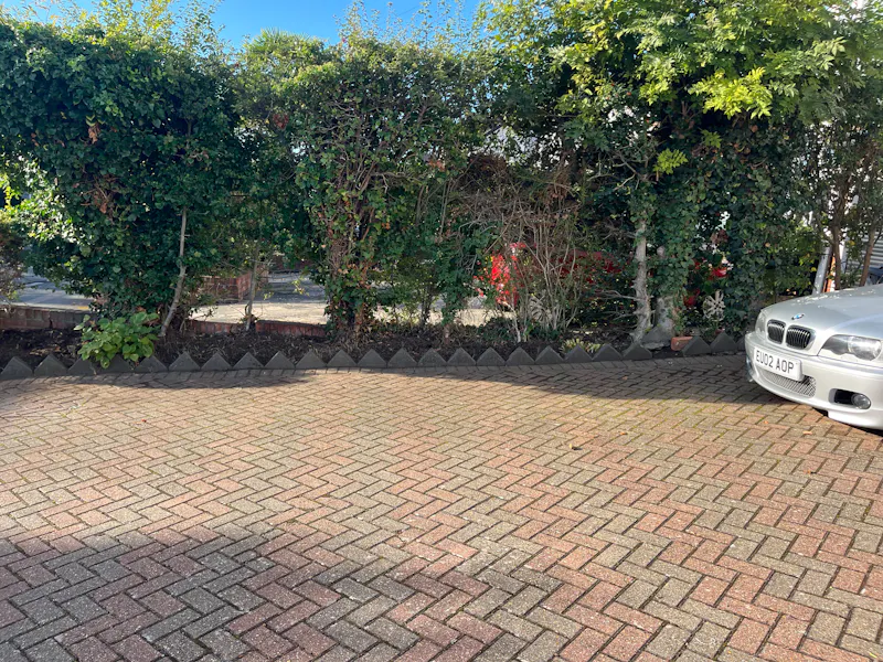 Upminster Family Pool House, D2907 (photo 43)