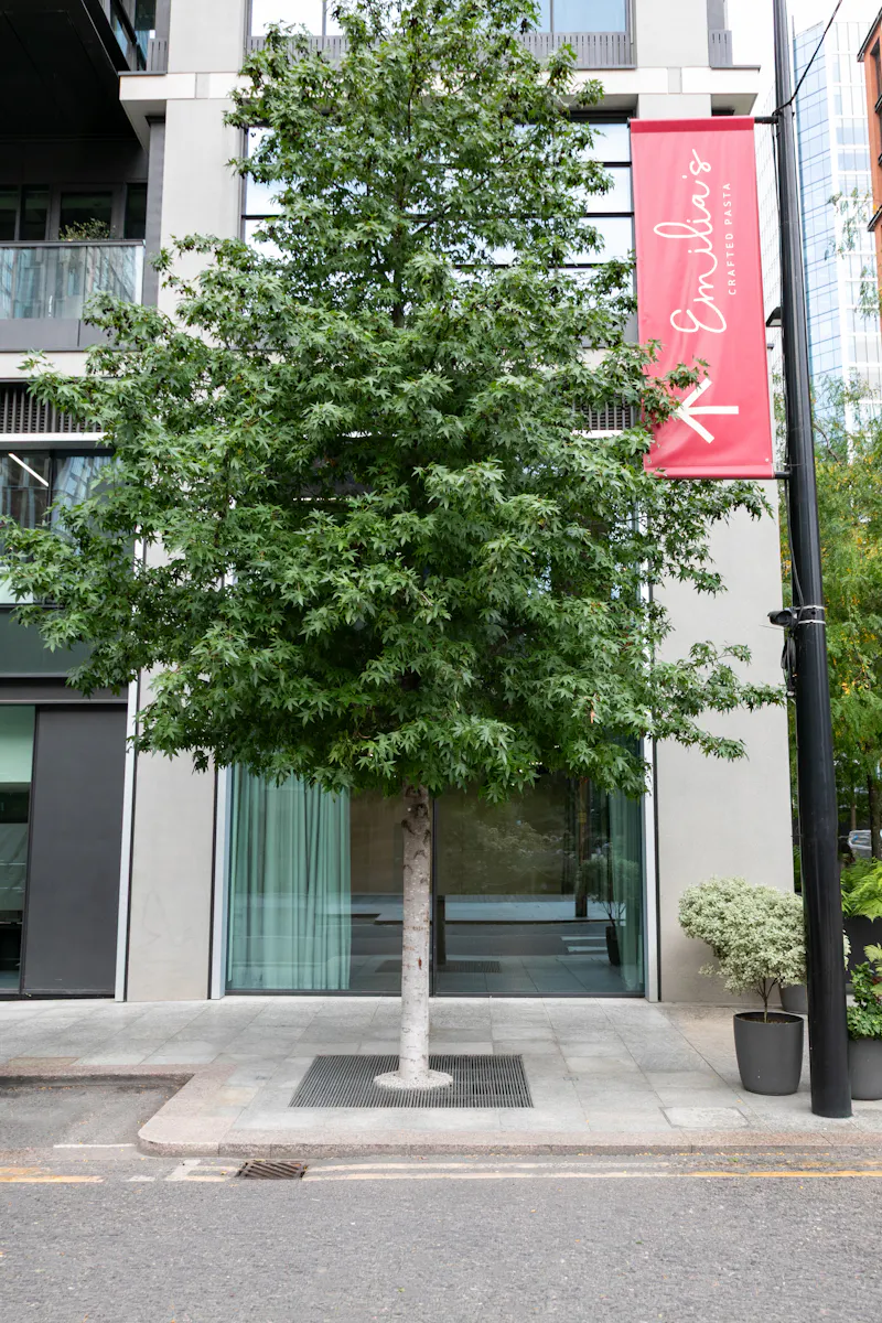 Canary Wharf Studio, N557 (photo 15)