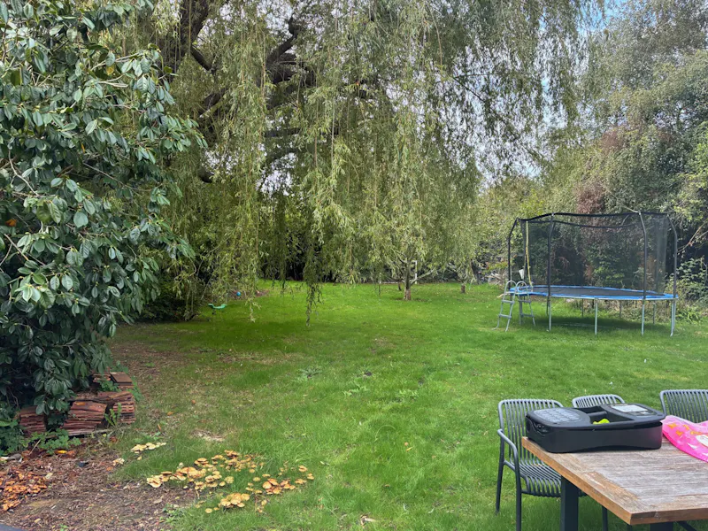 Large Lymington Detached Home, D2626 (photo 39)