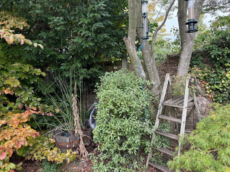 Walton-on-Thames Family Home, D2910 (photo 37)