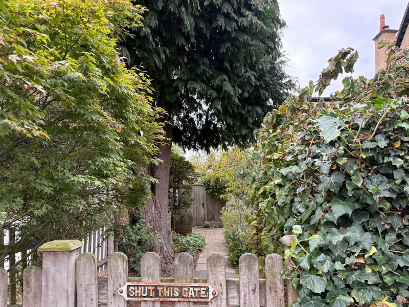 Walton-on-Thames Family Home, D2910 (photo 40)