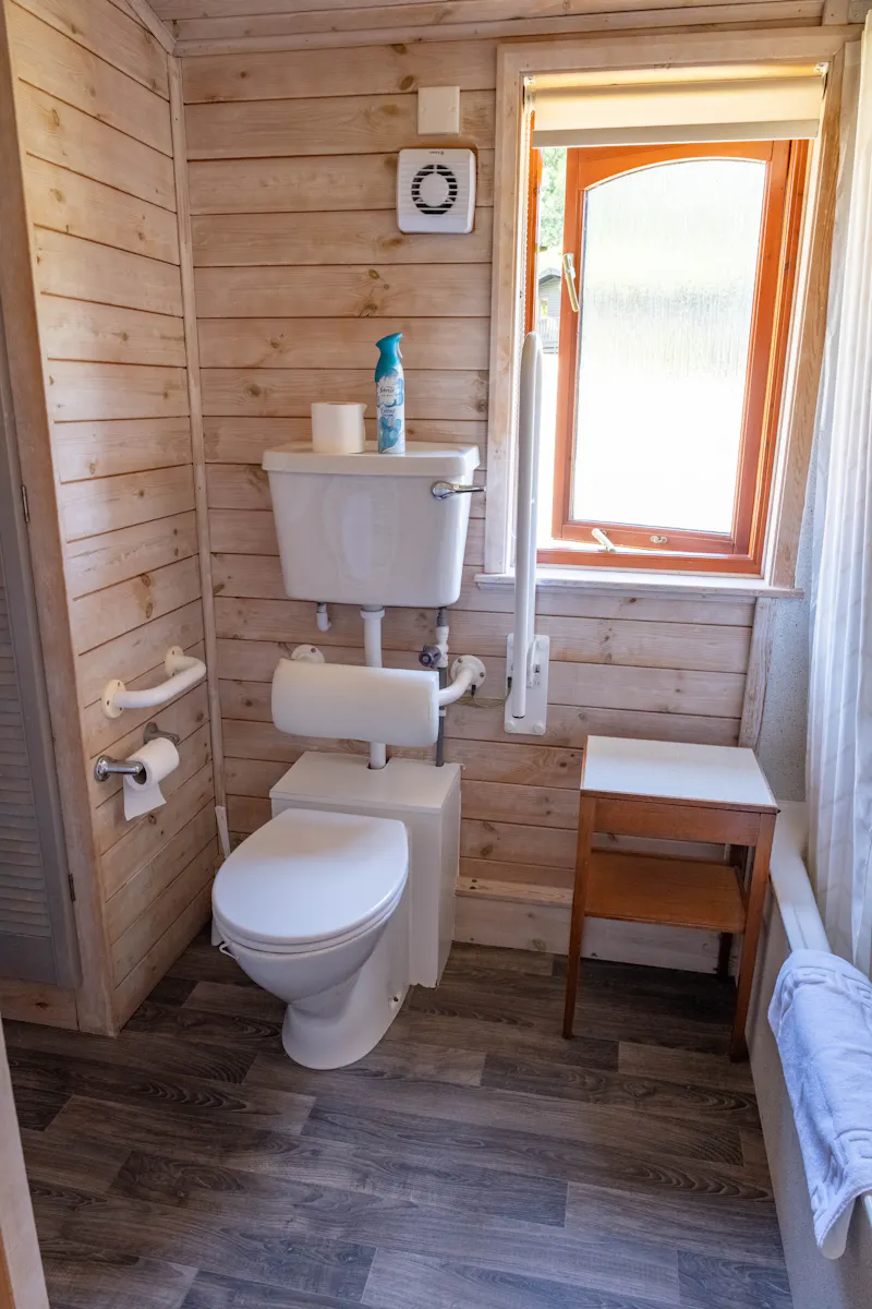 Bathroom at St Briavels Country House, M375 (photo 71)
