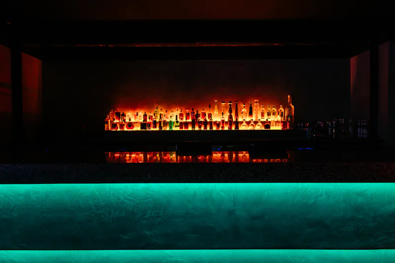 Iconic South London nightclub, R705 (photo 21)